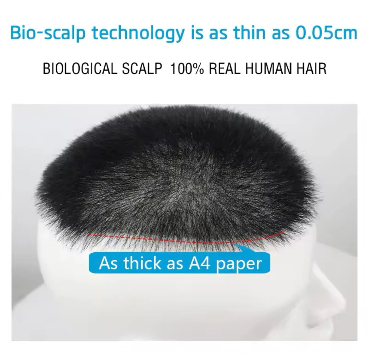 Peluqua N1